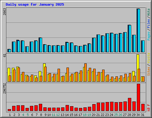 Daily usage for January 2025