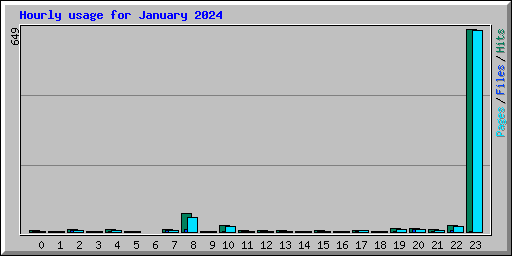 Hourly usage for January 2024