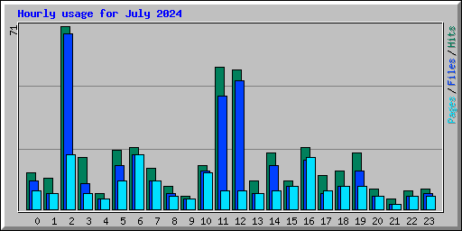 Hourly usage for July 2024