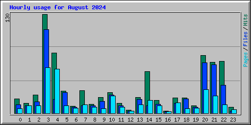 Hourly usage for August 2024