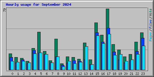 Hourly usage for September 2024