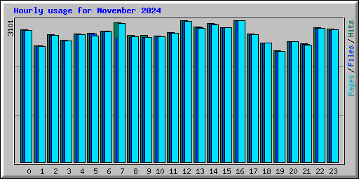 Hourly usage for November 2024