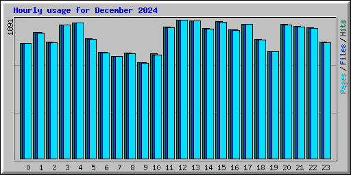 Hourly usage for December 2024