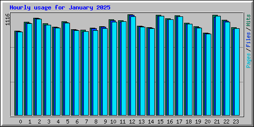 Hourly usage for January 2025