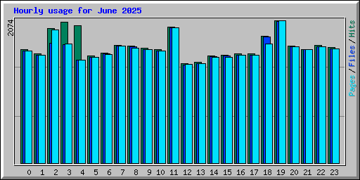 Hourly usage for June 2025