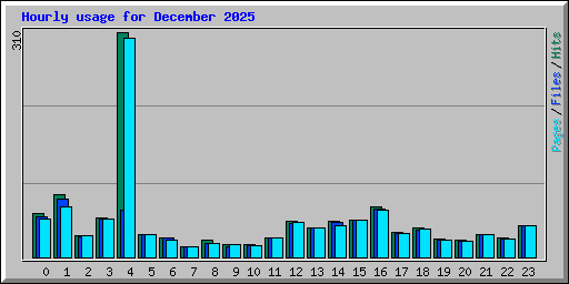 Hourly usage for December 2025