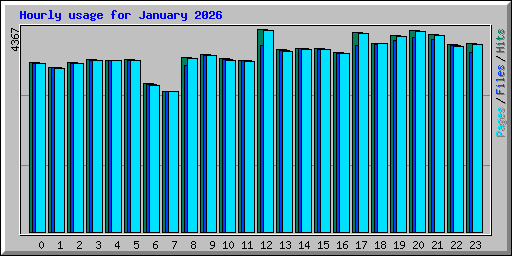 Hourly usage for January 2026