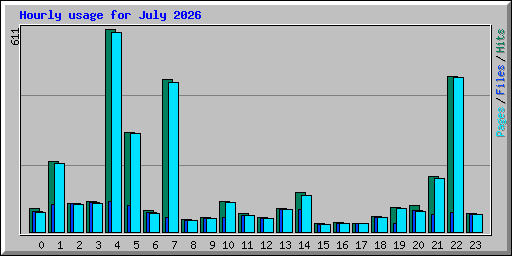 Hourly usage for July 2026